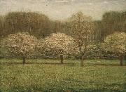 Apple Blossoms Dwight William Tryon